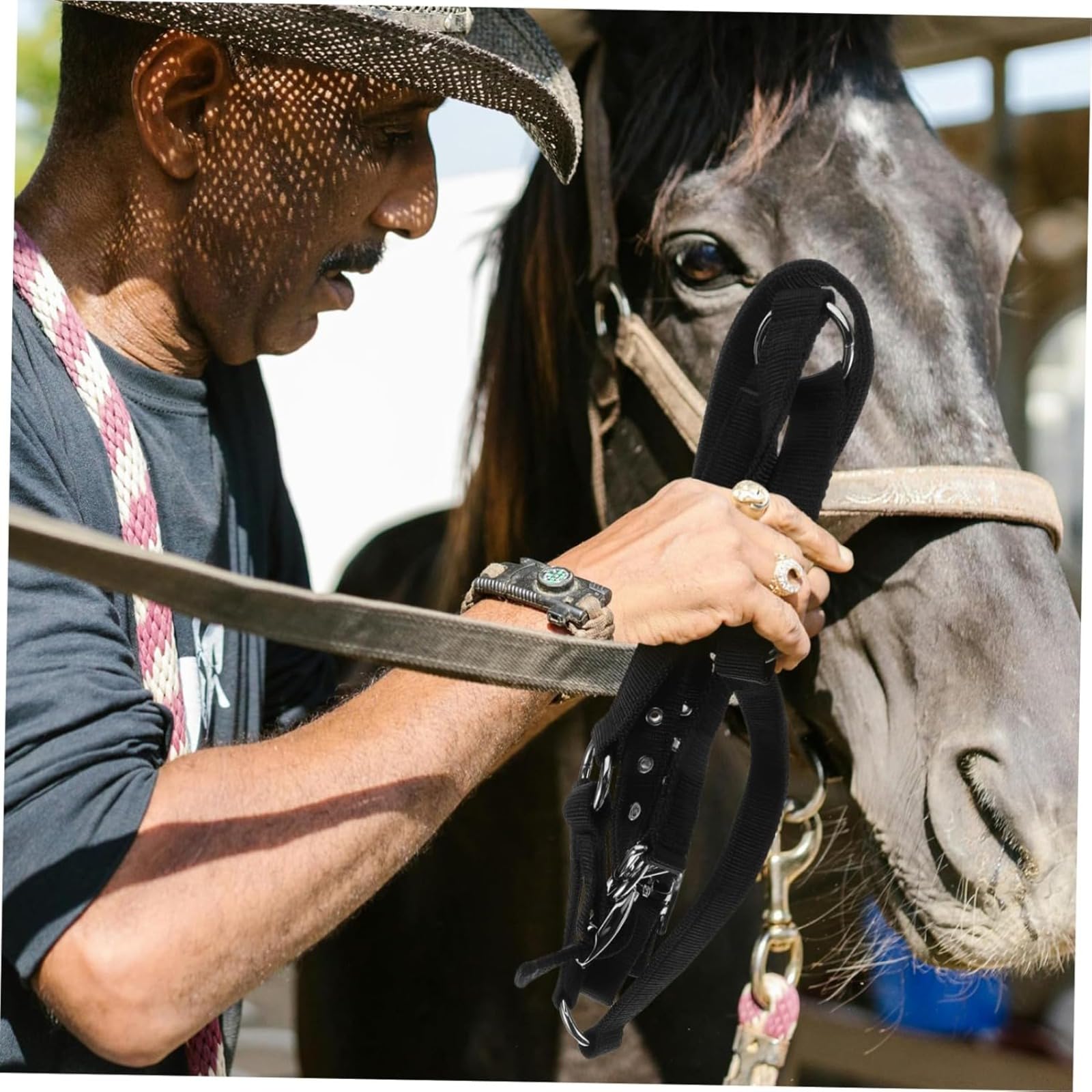 Licol d'âne de formation équestre pour licou réglable pour licol avec corde de licou pour passe-temps licou pour grand licou pour