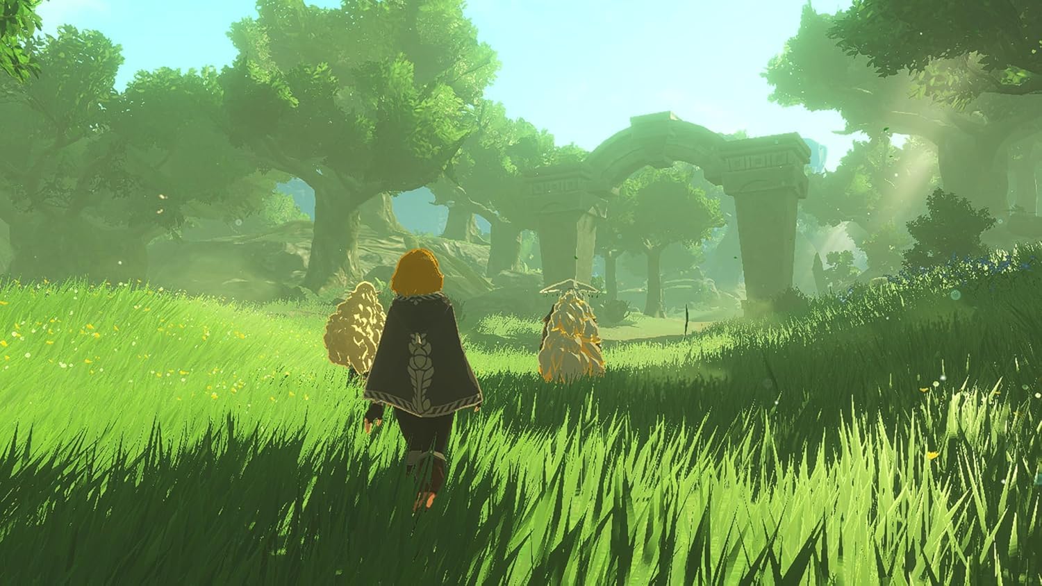 Hyrule Warriors: Edad de encarcelamiento