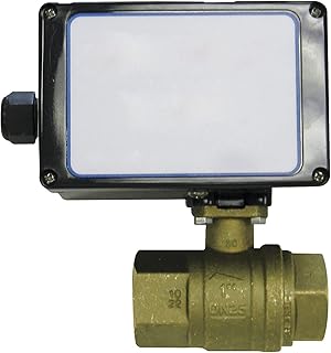 Ball Valve,Electronic,1 in FNPT