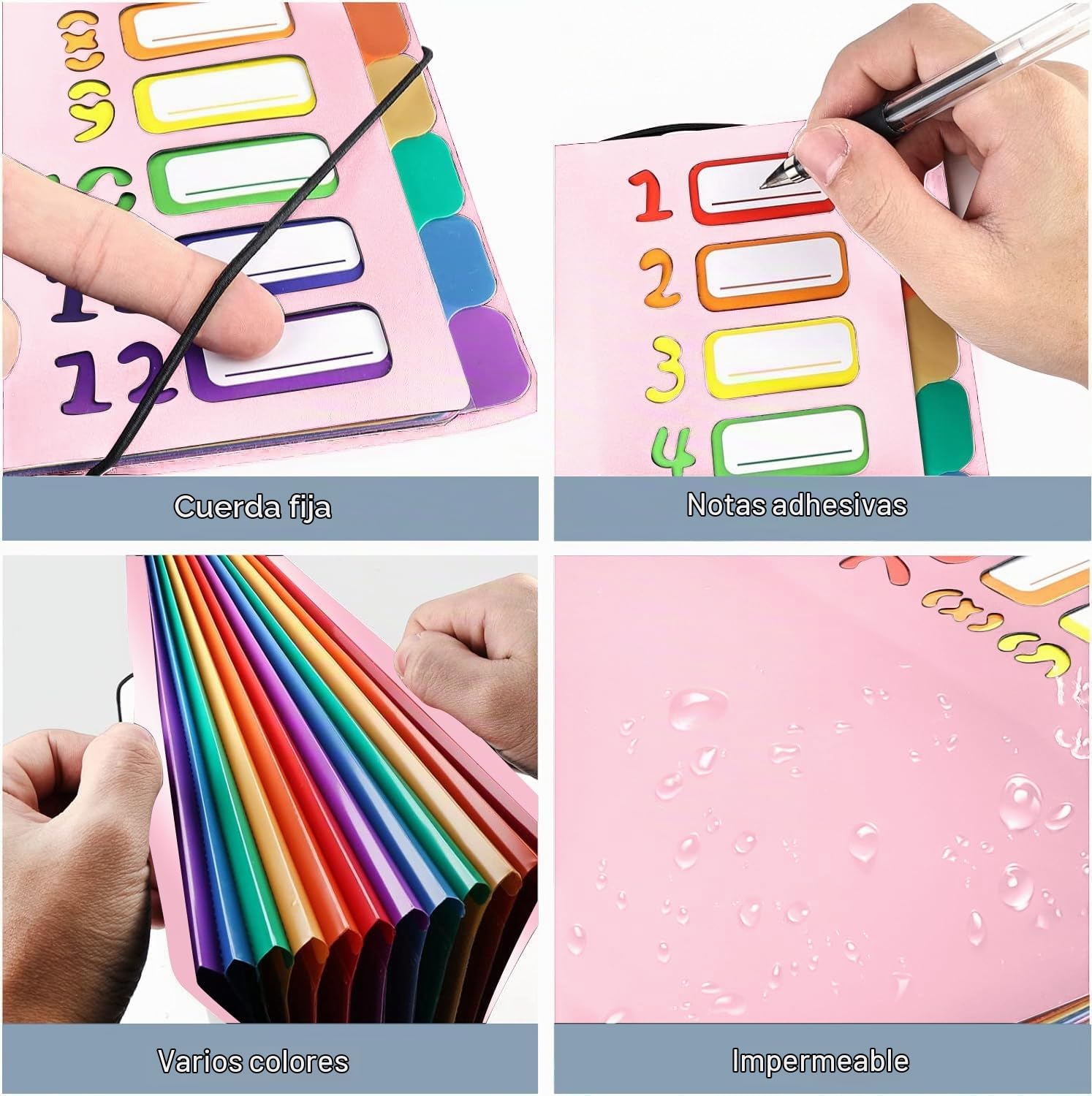 Delamiya Carpeta para documentos A4, portátil con 12 compartimentos, de plástico PP, carpeta con goma, impermeable, para material de oficina escolar (negro)