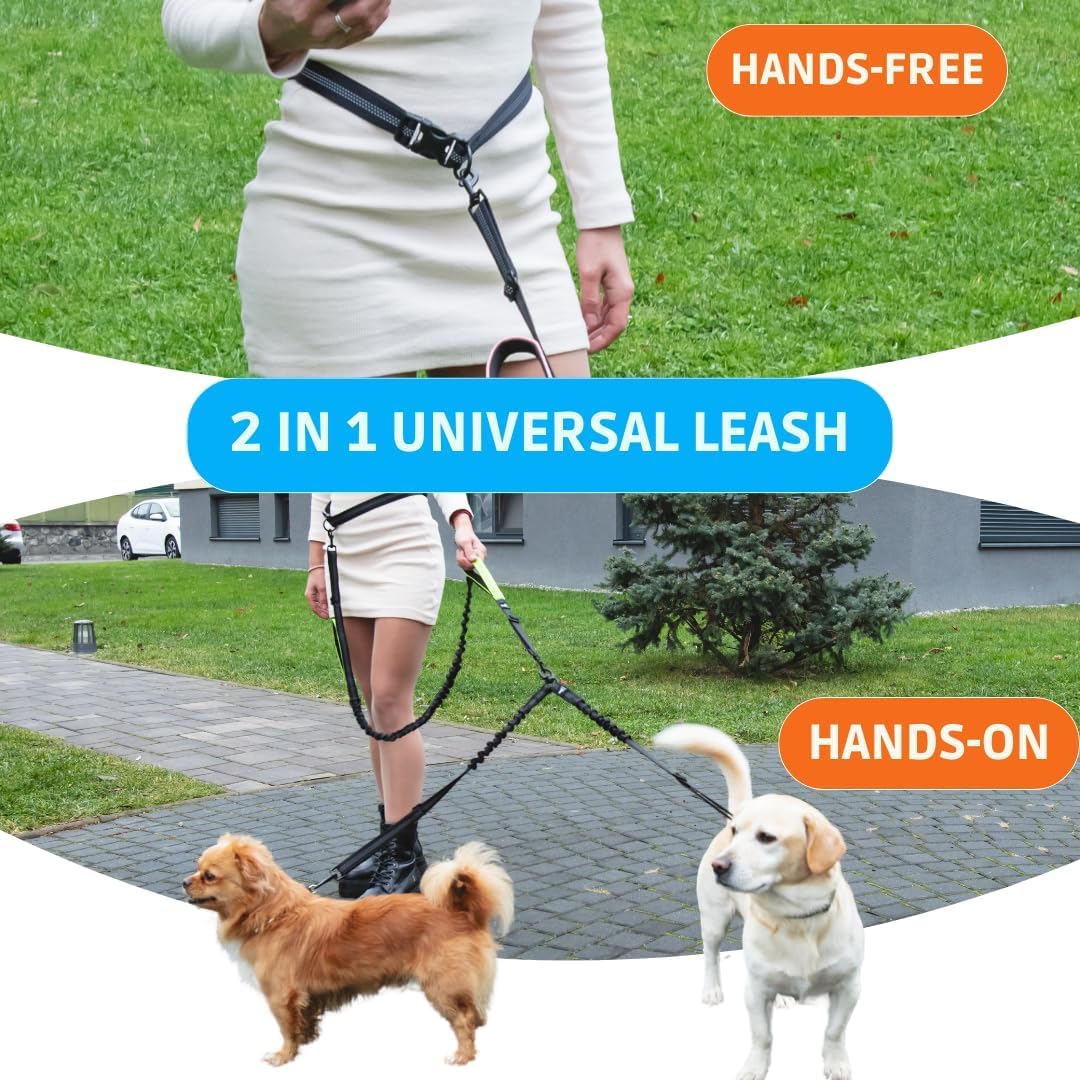 SparklyPets - Laisse Mains Libres pour 2 Chiens de Petite Taille - Harnais Professionnel avec Coutures réfléchissantes pour Entraînement, Marche, Jogging, Course à Pied