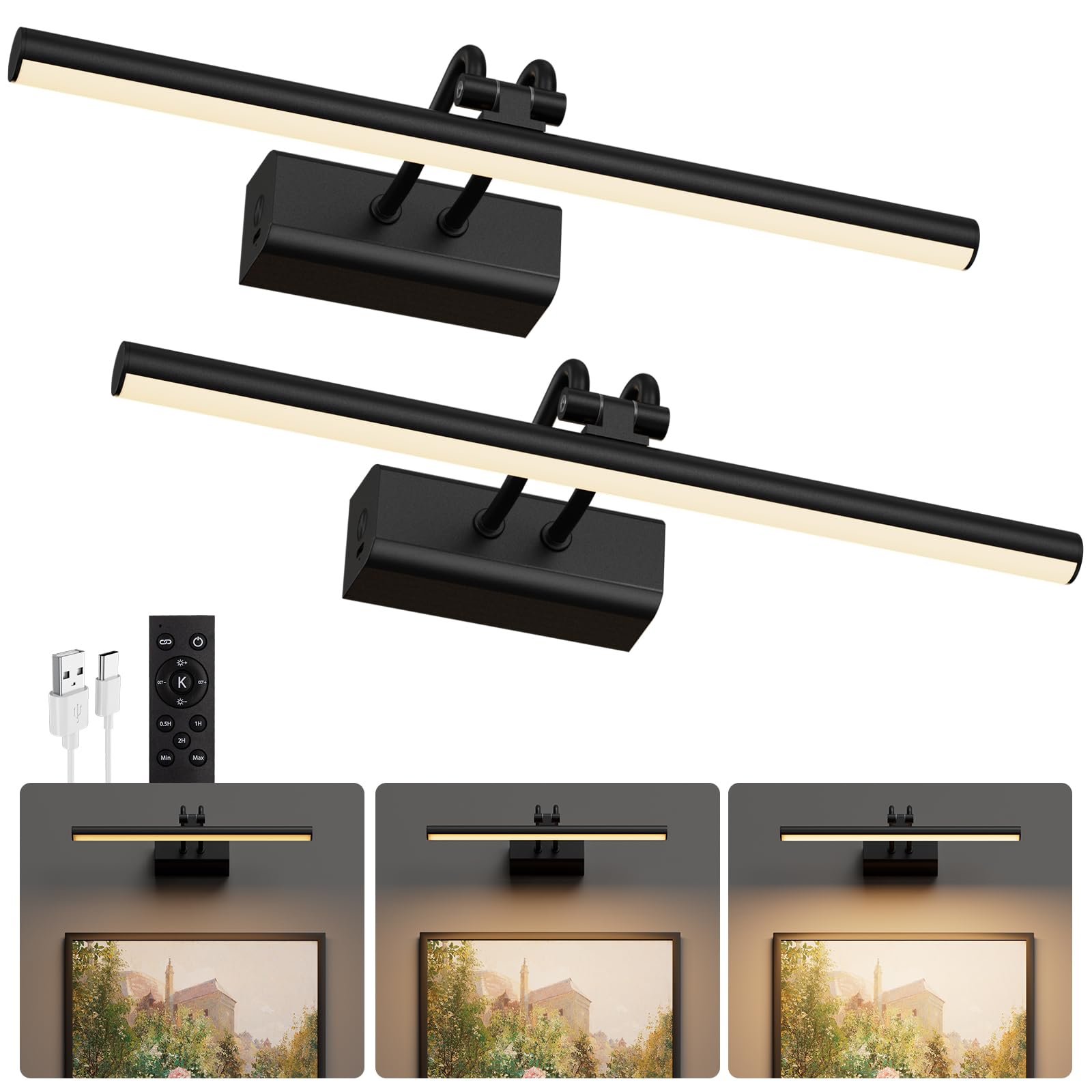 Picture Light for Wall Set of 2, Black