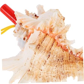 法螺貝の笛　ほら貝　貝殻　貝笛　笛　楽器　美品　綺麗　インテリア　置物 楽天市場】【 伊勢 宮忠 】【 No.10 法螺貝（ほら貝） 大型