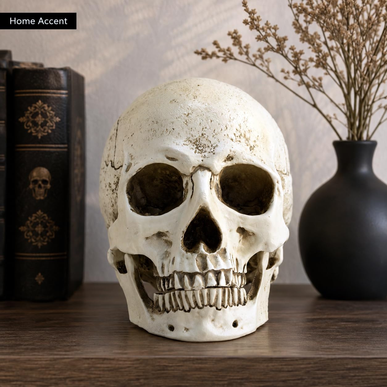 ENNAS Life Size Skull Head Model, 1:1 Resin Skeleton Halloween