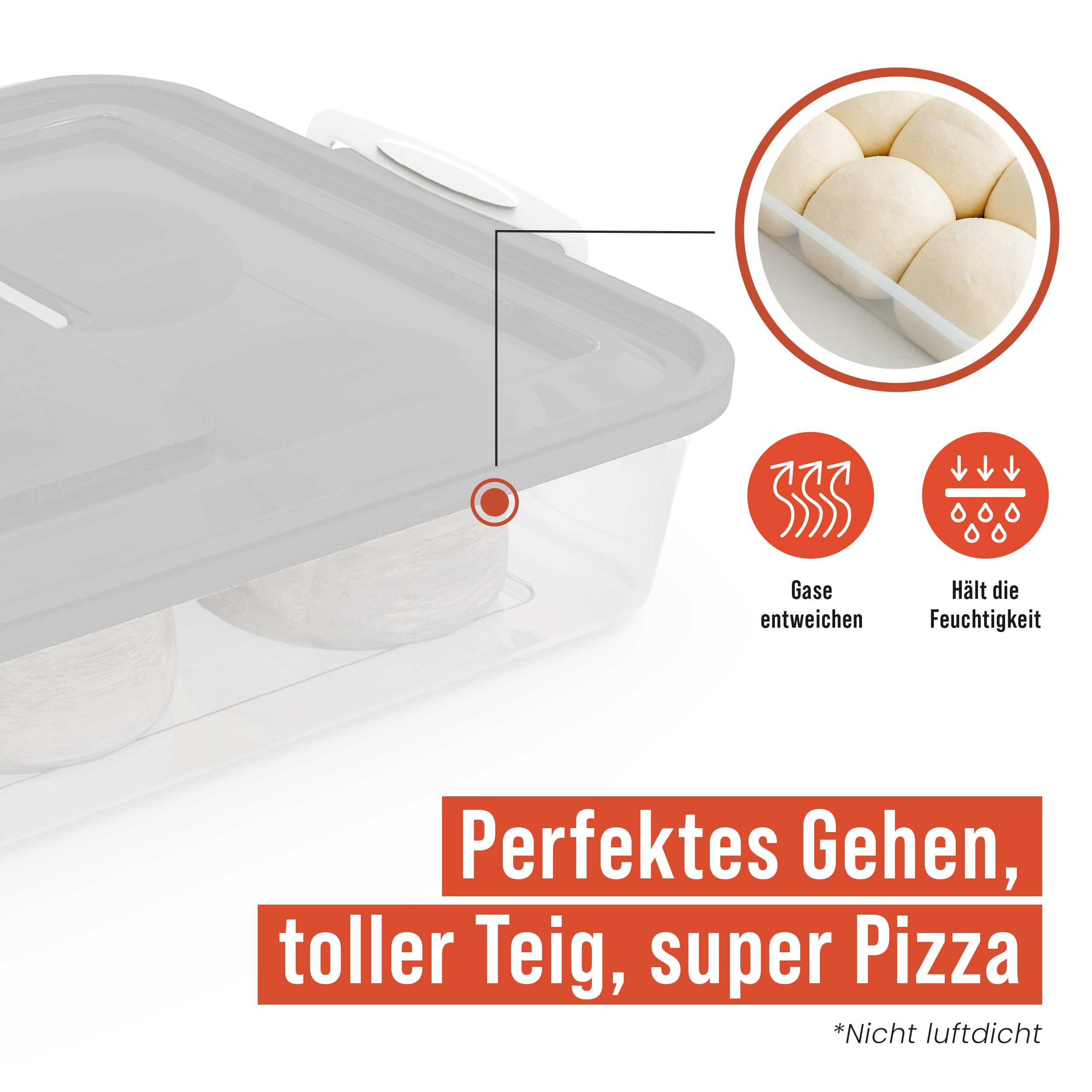 Chef Pomodoro 2 x Pizzaballenbox mit Deckel (35,6 x 27,9 cm), Teigbox Pizza, Pizzaboxen Teig, Pizzateig Box, Pizza Ballenbox, Gärbox, Brot Aufbewahrungsbox, Kunststoffbox (Grau)