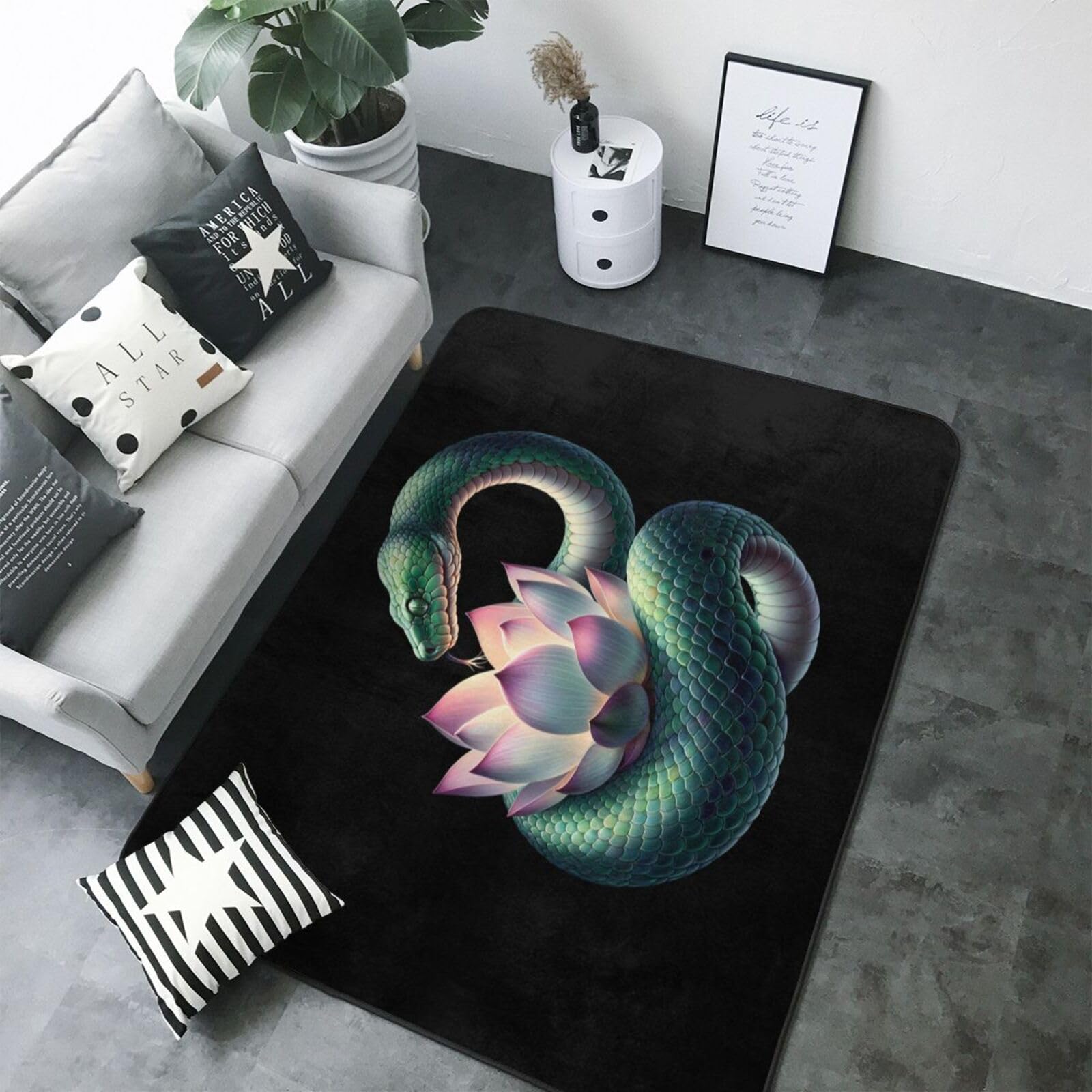 Tapis d'intérieur lavable grand format pour salon et chambre