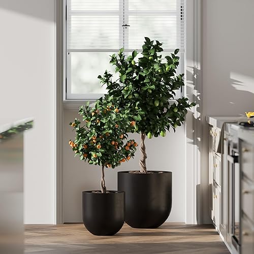 Miniatura 6 de DTY Signature Mount Antero - Maceta moderna en forma de bala de fibra de fibra ligera y duradera para interiores y exteriores, agujero de drenaje y