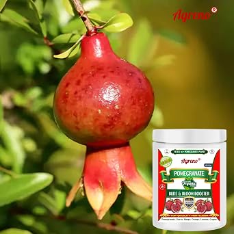 Agreno Pomegranate Buds and Fruits Booster, Essential Powerful Organic Fertilizer Granule for Fast Growth and Heavy Fruiting of all types of Pomegranate Plants. (450 gm)