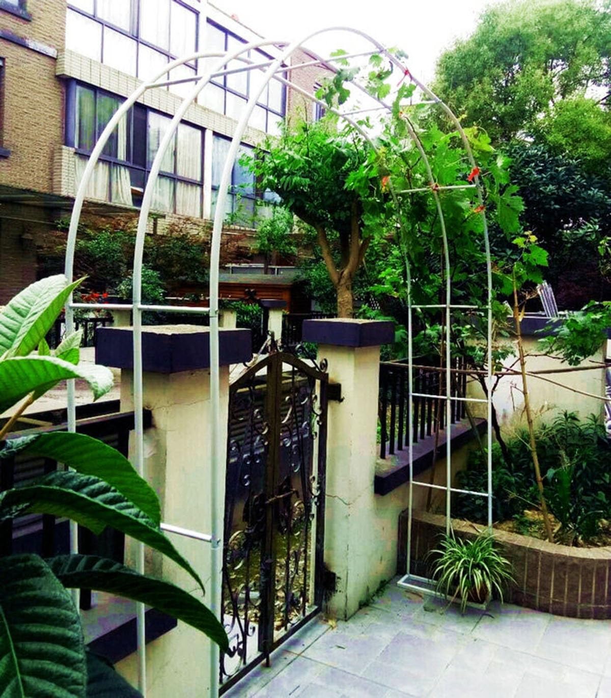 Arche de jardin robuste en métal blanc pour plantes grimpantes