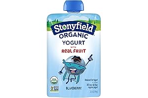 Stonyfield Organic Kids Blueberry Lowfat Yogurt: Perfect for Picky Eaters