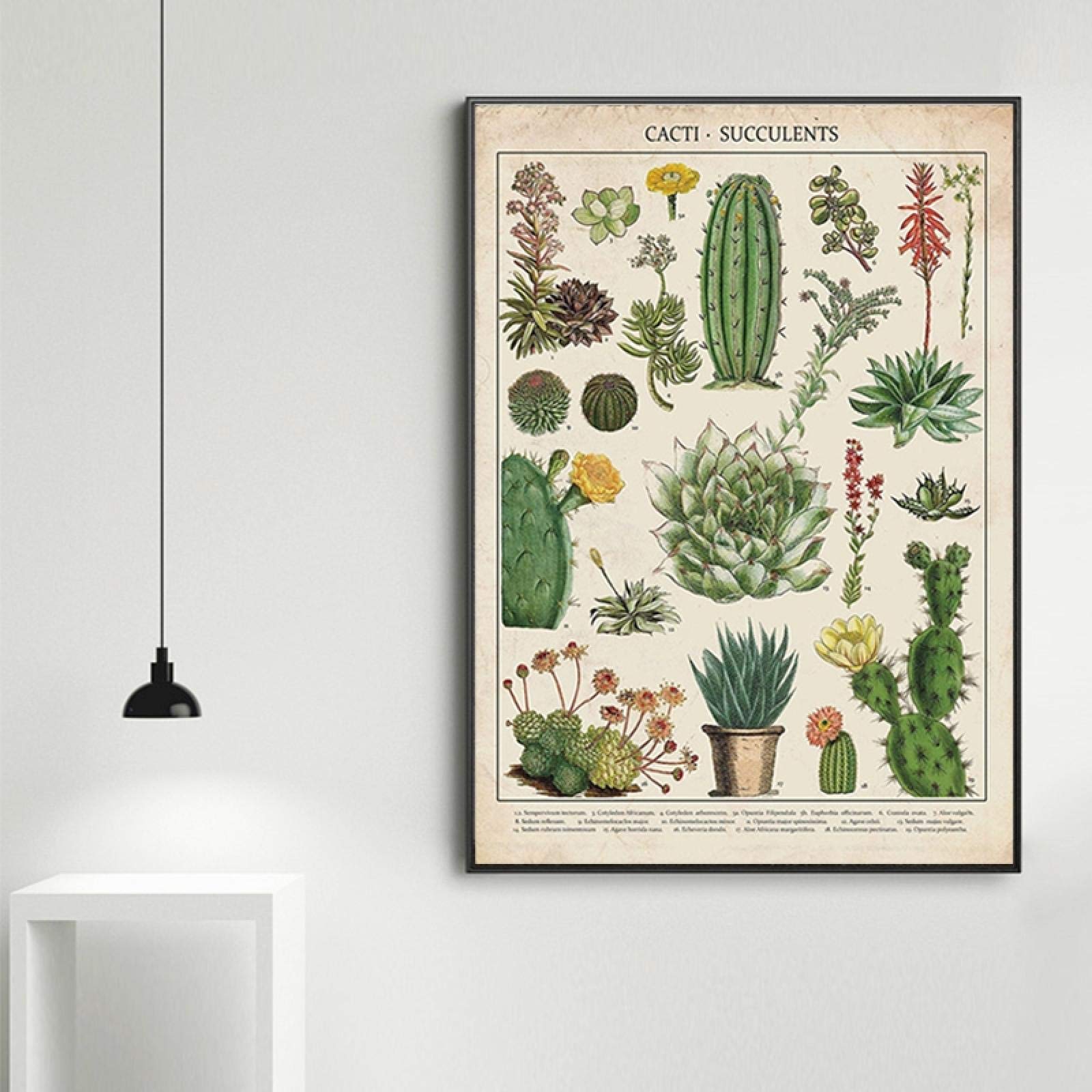 ボタナイズ　バナケン　絵　ポスター　点描画　ブランドロゴ　塊根植物　多肉植物 Amazon.co.jp: サボテンと多肉植物キャンバス絵画現代の壁アート写真