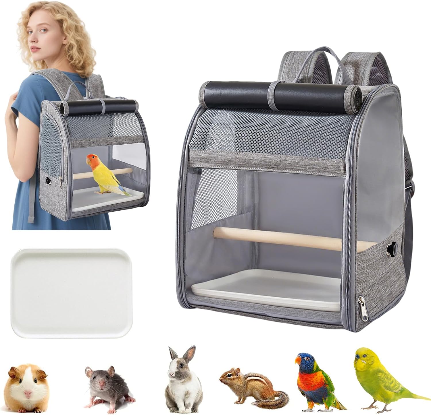 Bird Carrier Backpack,Breathable & Portable,Pet Travel Cage with Upgraded Tray and Standing Perches,Lightweight Foldable Birds Travel Cage for Hiking Camping,for Small Birds, Green Cheek