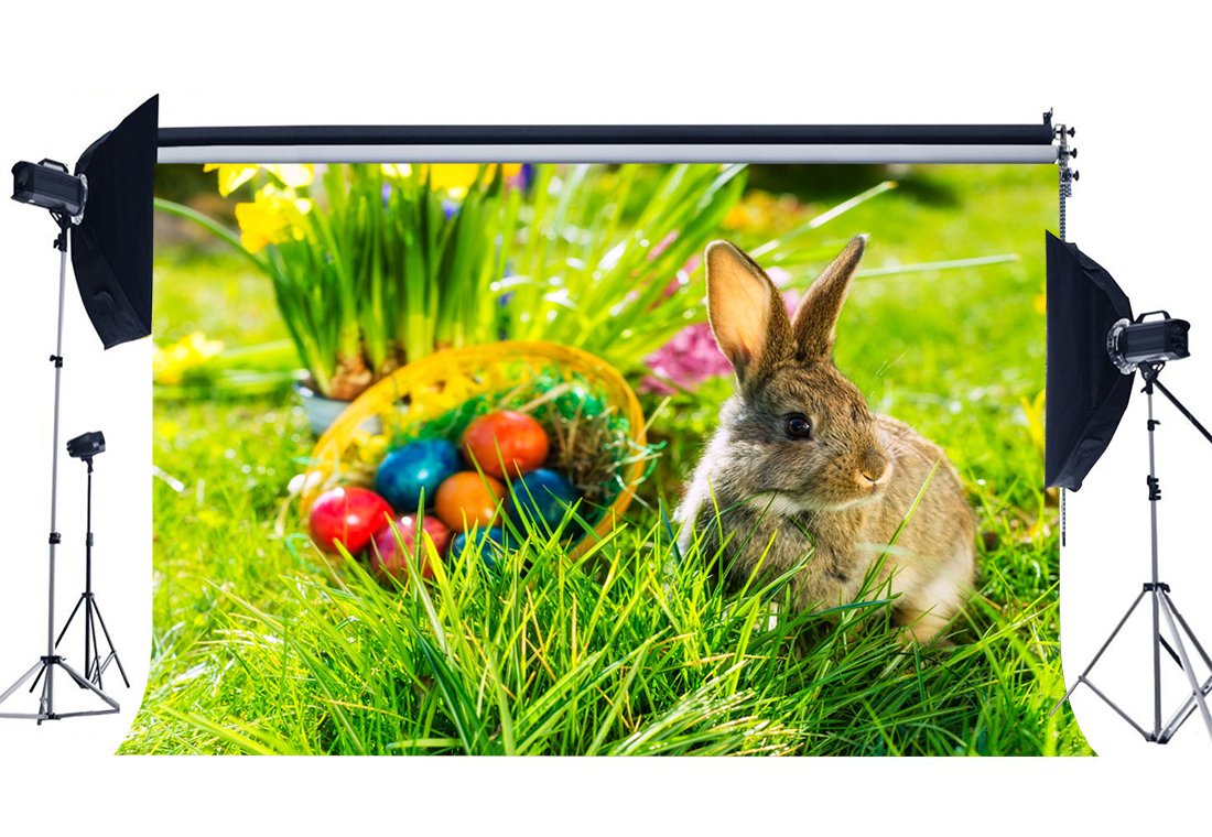 HasdropHappy Easter Backdrop 5X3FT Vinyl Frohe Ostern Backdrops Bunny Eggs Hunt Green Grass Meadow Fresh Floral Basket Spring Jesus Christ Photography Background for Kids Photo Studio Props HMM31