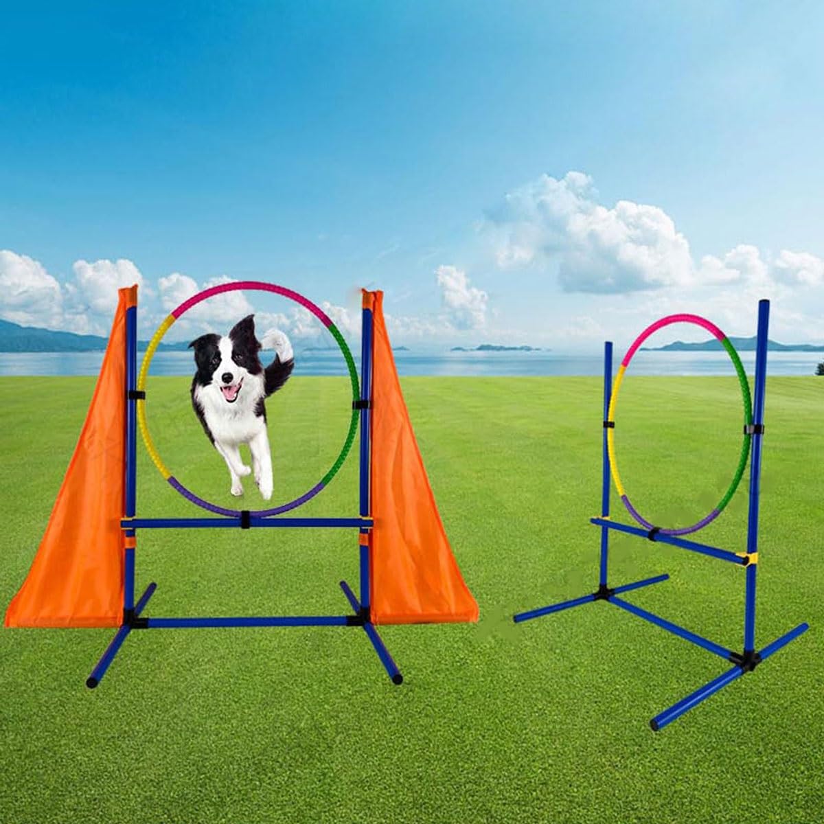 Hunde-Agility-Trainingsgeräte-Set, tragbarer Hunde-Agility-Kurs Hinterhof-Set mit 9-Fuß-Hundetunnel, Webstangen, Reifen-Hundesprüngen