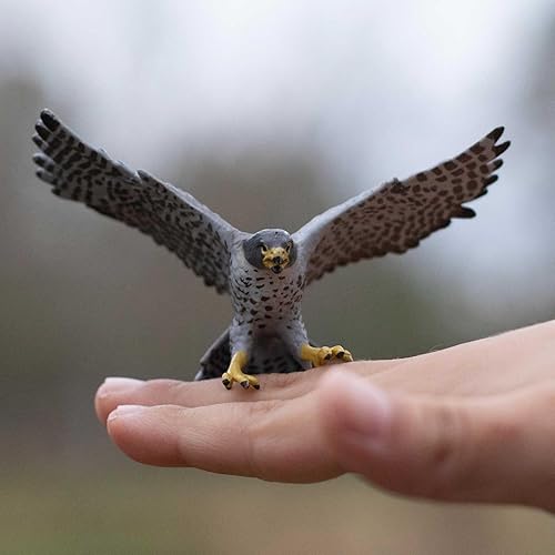 Miniatura 5 de Safari Ltd. Figura de halcón peregrino, figura detallada de plástico de 3.75 pulgadas, divertido juguete educativo para niños, niñas y niños a