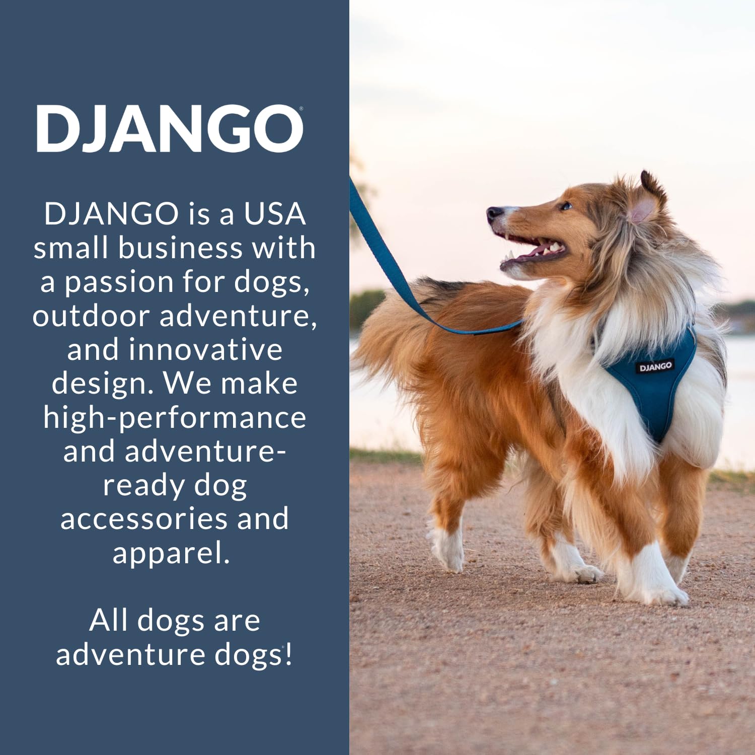 DJANGO Adventure Hundegeschirr - Bequemes, strapazierfähiges und reflektierendes Neopren Hundegeschirr für Outdoor-Abenteuer und Alltag - Verstellbares Design mit massiven Messingbeschlägen (Medium