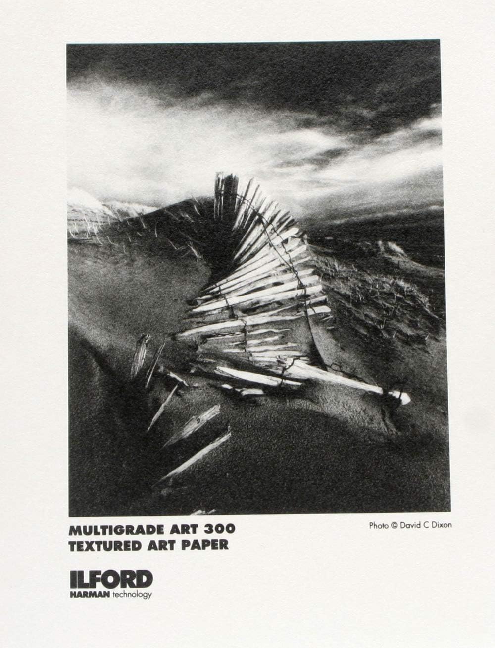 Ilford Multigrade Art 300, Variable Contrast, B & W Enlarging Paper, 11x14", 10 Sheets, Matte