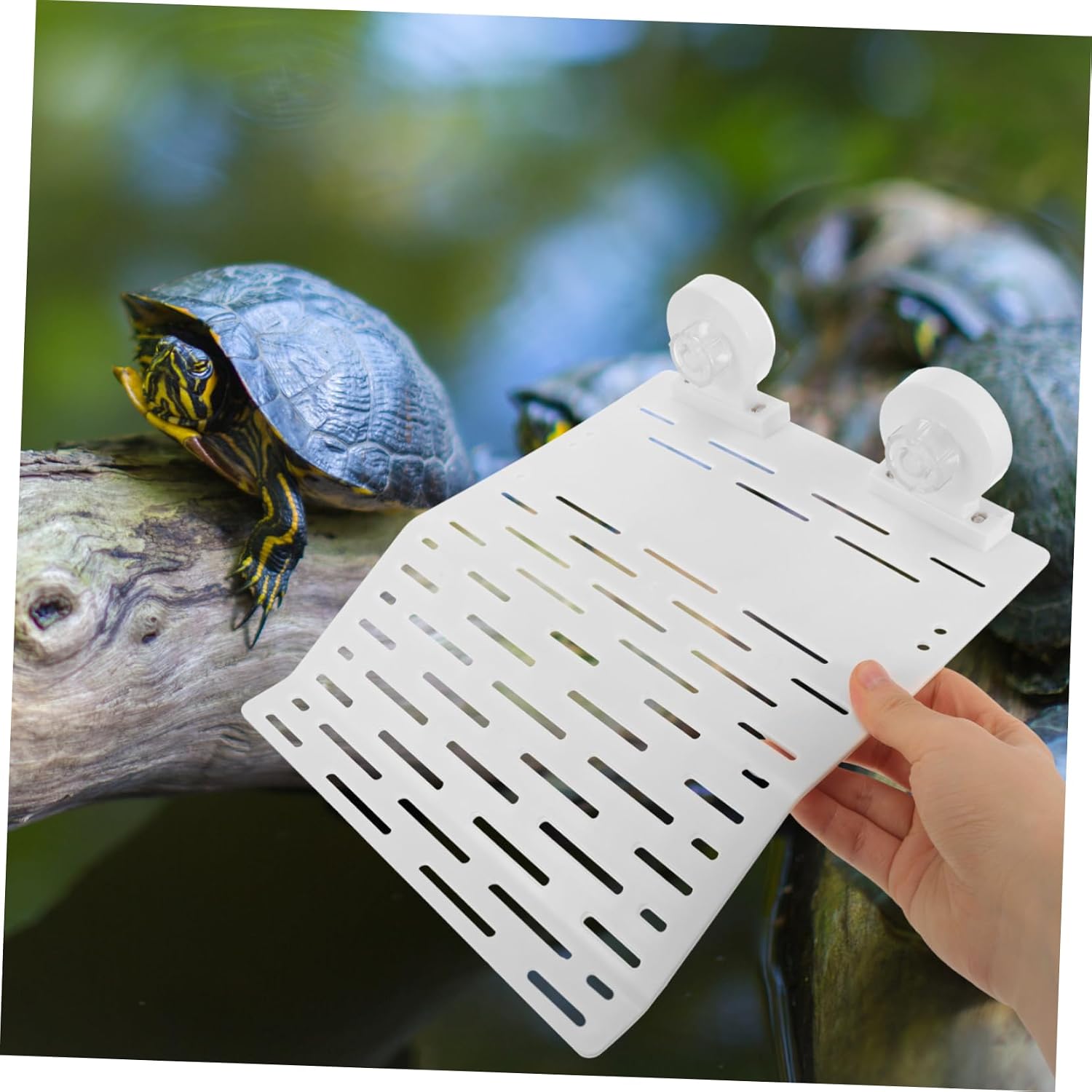 Turtle Basking Platform for Aquarium Smooth Climb Plastic White