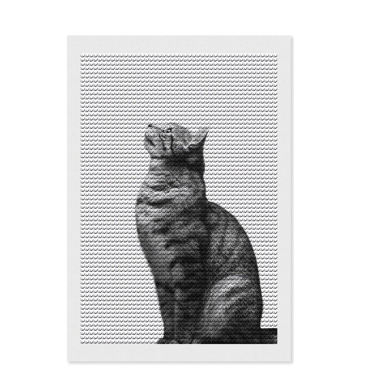 Junmoney Cat Portrait Diamond Art Canvas 8"x12", Farmhouse Decor, for Women, Fun Craft Experience, Thoughtful Handmade Gift