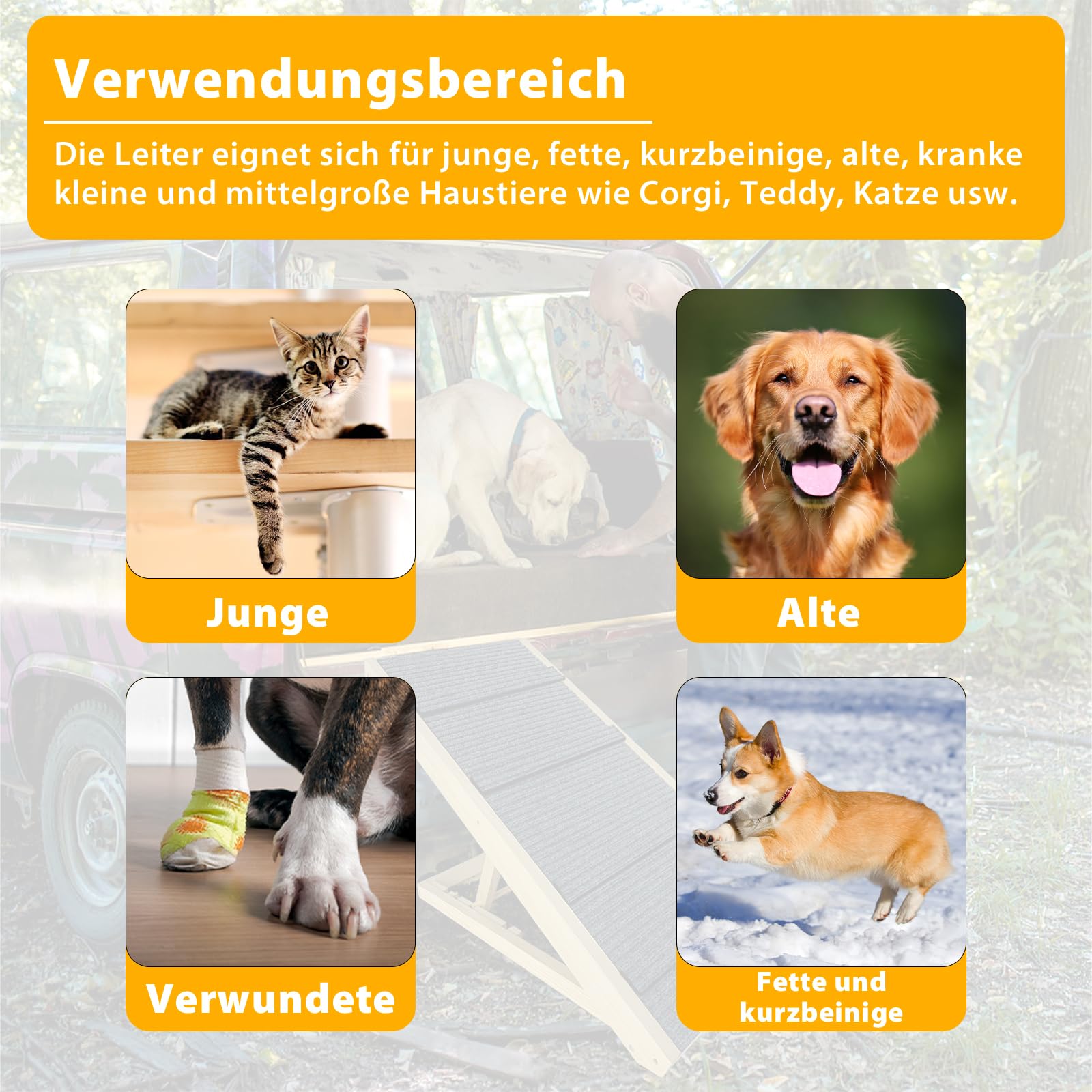 VANCHEMO Rampa per cani in legno, 100 x 40 x 60 cm, antiscivolo, per letto e divano, regolabile 30 – 60 cm, nero, portata fino a 5 kg, ideale per gatti e cani di piccola taglia