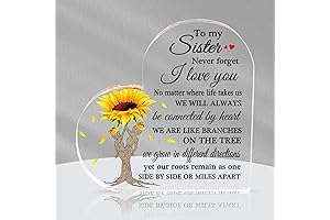 Sunflower Sisters Gift, Acrylic Plaque Sister Birthday Present