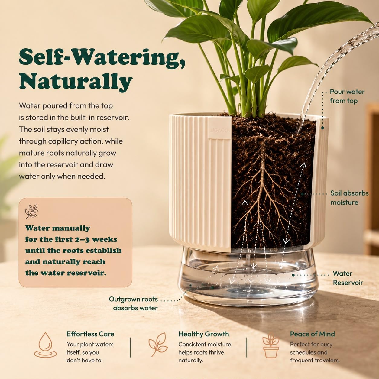 Ugaoo 4-Plant Indoor Combo - Office & Home Decor -4