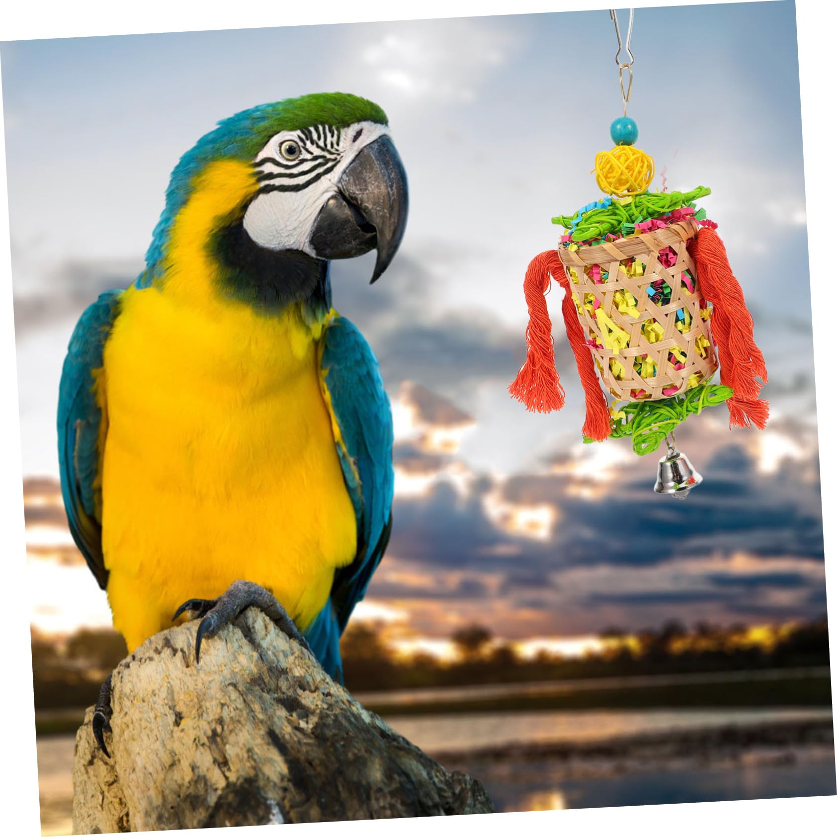 Beaupretty 9pièces Jouets à Mâcher pour Oiseaux Jouets pour Perroquets Naturel Accessoires De Cage pour Oiseaux pour Parrots Et Perroquets