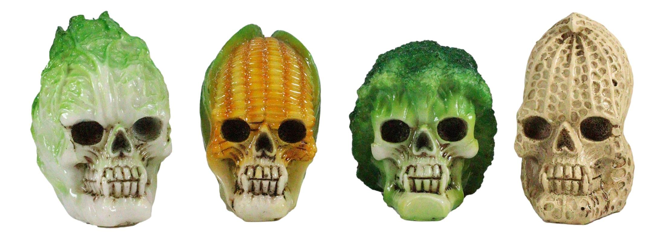 Amazon.com: Ebros Vegetable Healthy Salad Produce Maize Corn