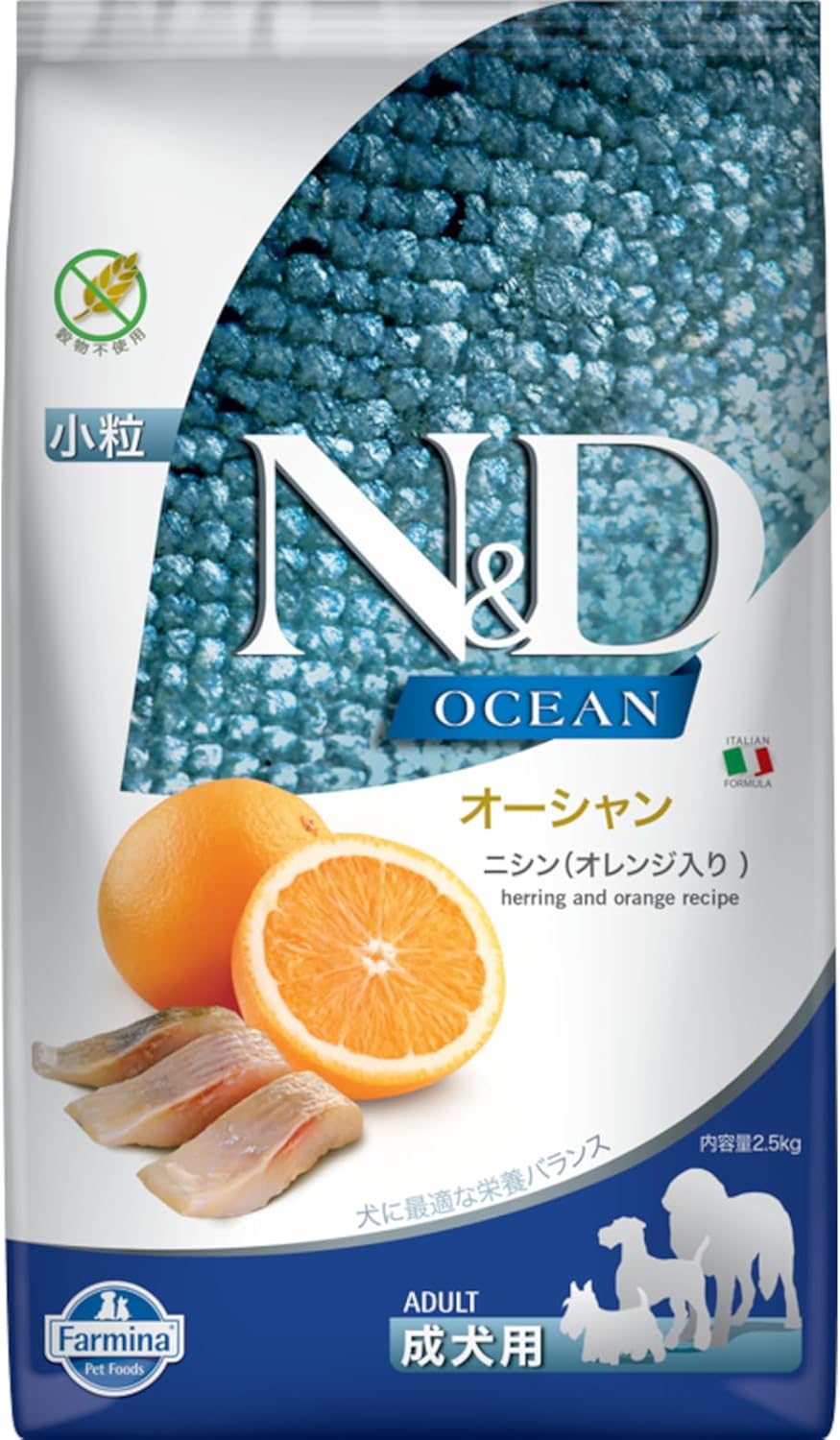 Herring & Orange Adult Mini