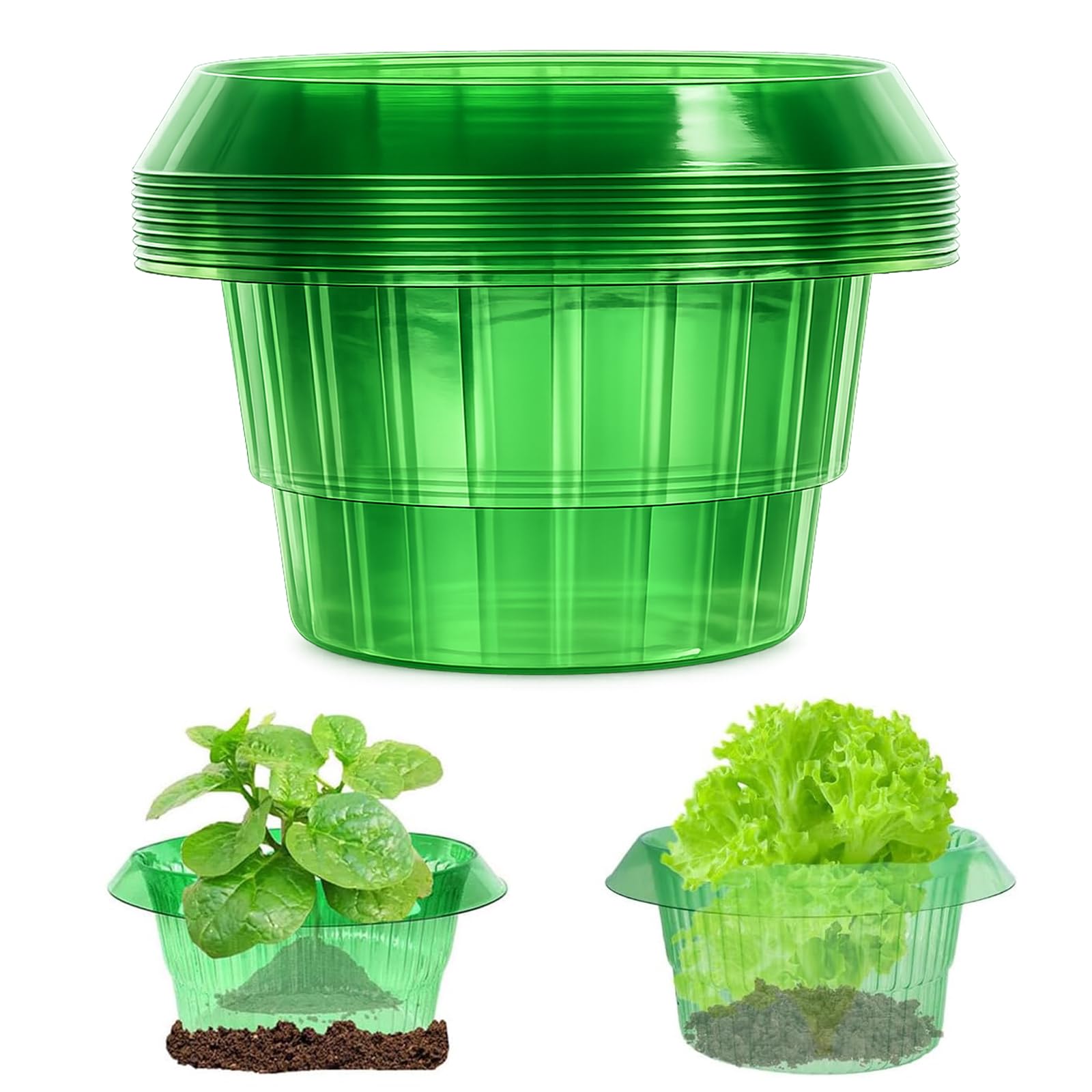 10 collares de caracol, anillo protector de caracol, protección de caracol de tamaño mediano para plantas de lechuga y repollo, los anillos protectores de caracoles pueden complementar el sombrero de