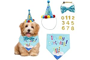 Pawsitively Festive Dog Birthday Outfit: Bandana, Hat, and Bow Tie