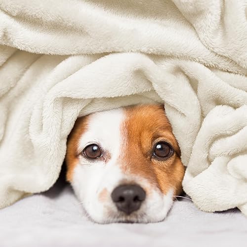 Vista 271 de Hansleep Manta de vellón tamaño individual, color verde azulado, suave y acogedora manta de franela mullida para cama, sofá, viajes, campamento