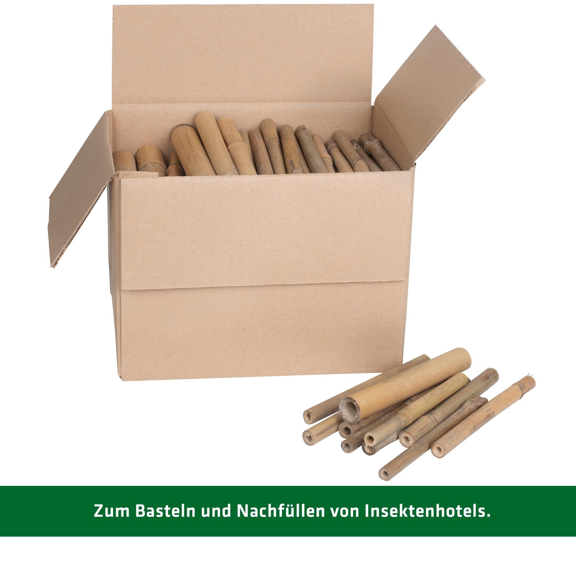 GARDIGO® Tubos de bambú para Hotel de Insectos, 150 Unidades, Tubos de anidación de bambú para Abejas Silvestres, Accesorios para casa de Insectos, Hotel de Abejas, casa de Abejas Silvestres, caña de
