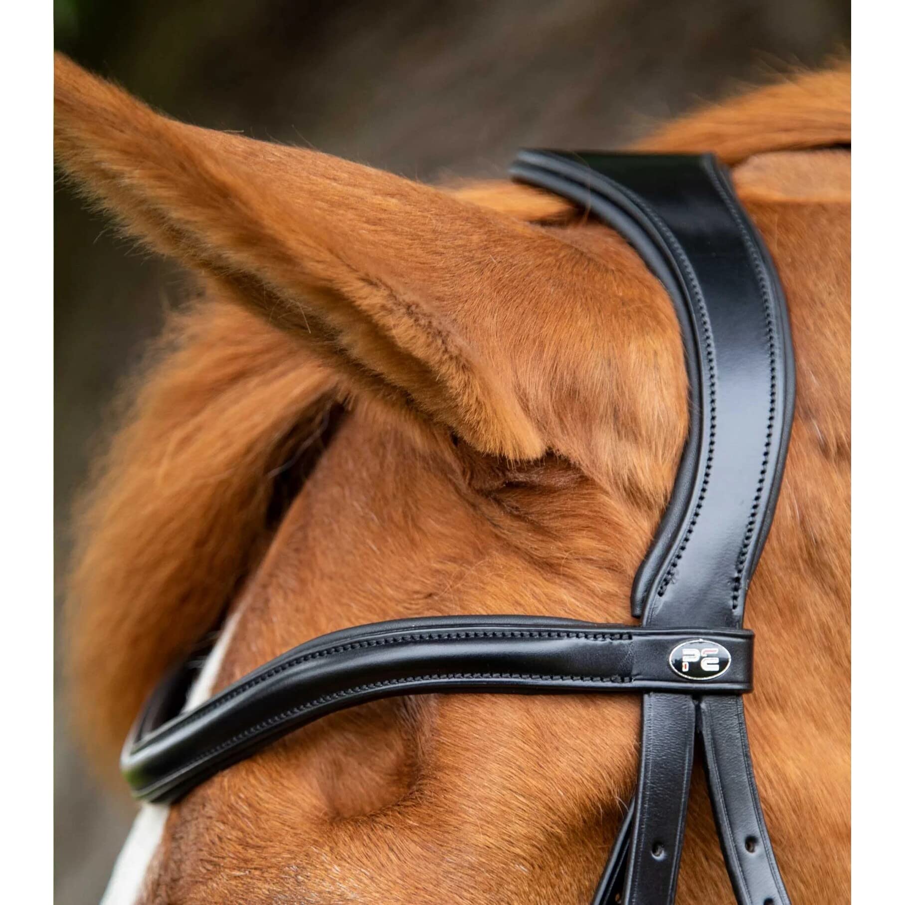 Premier Equine Briglia Snaffle Glorioso
