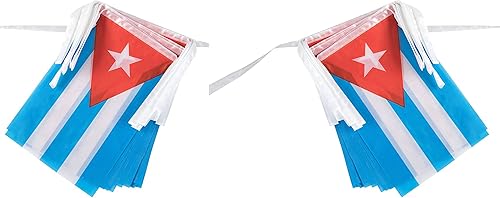 Vista 107 de ZXvZYT Cadena de bandera haitiana de Haití, pequeñas mini banderines de Haití, para gran apertura, eventos deportivos nacionales, decoraciones