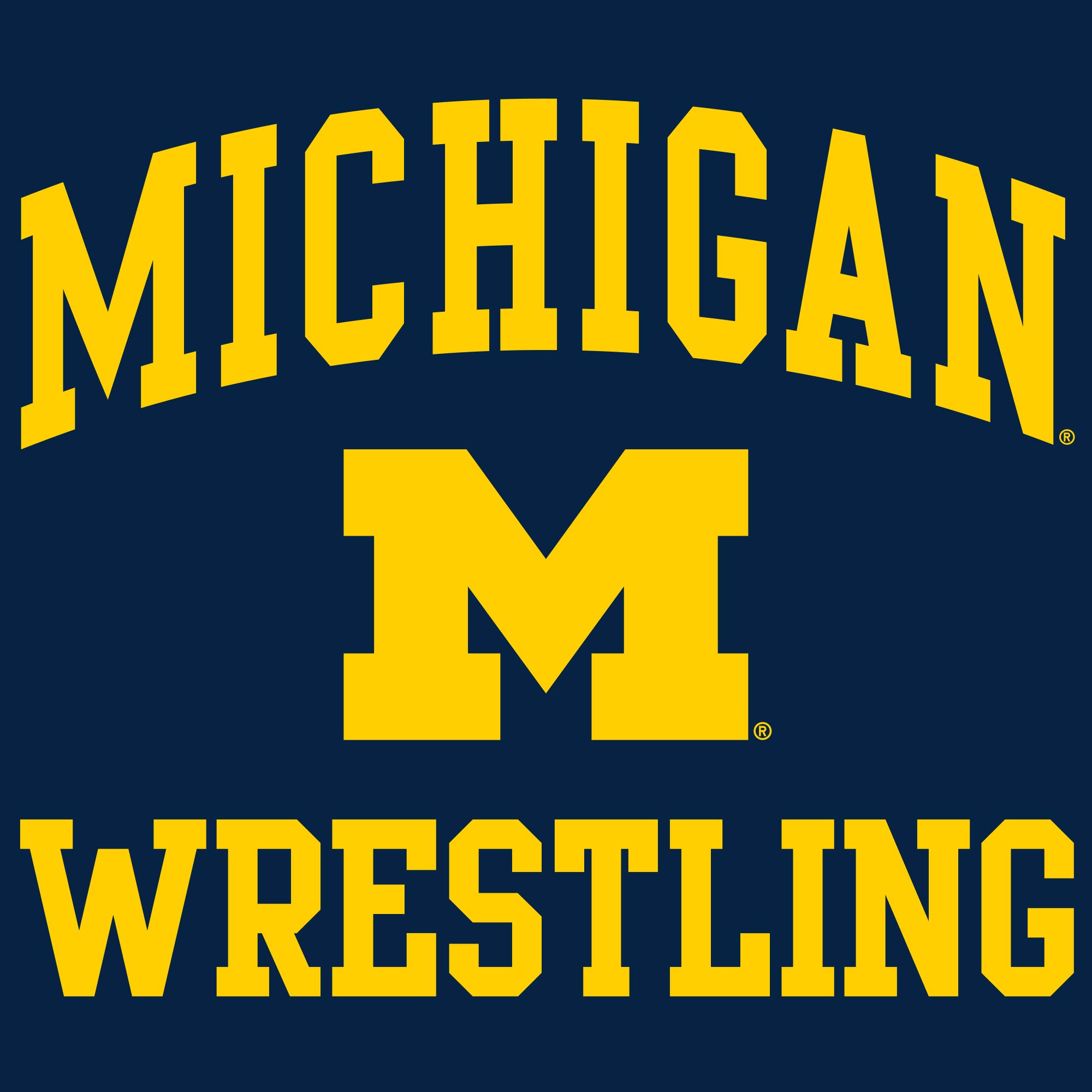 UGP Campus Apparel AH1104 - Michigan Wolverines Arch Logo Wrestling Hoodie - X-Large - Navy