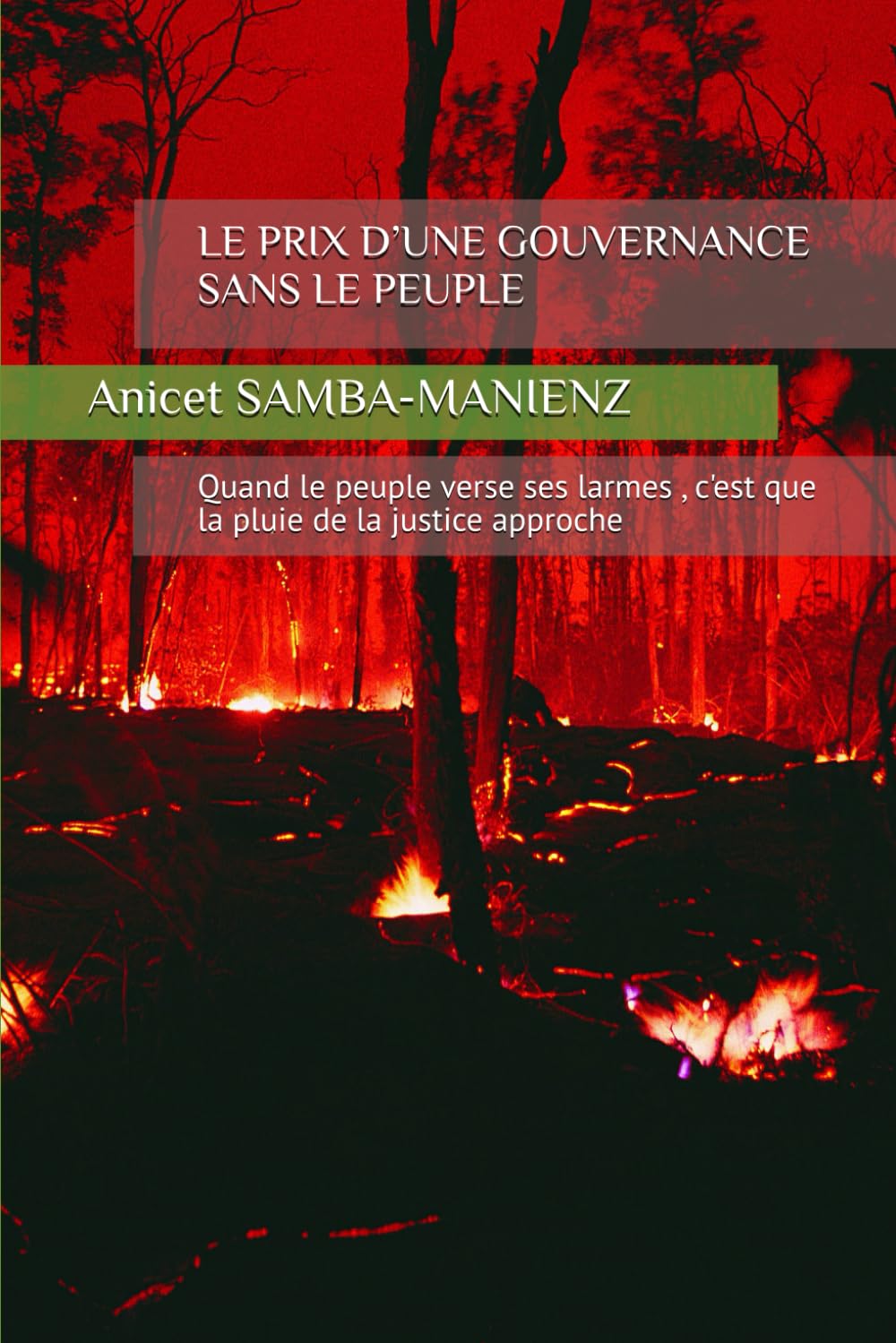 LE PRIX D’UNE GOUVERNANCE SANS LE PEUPLE: Quand le peuple verse ses larmes , c'est que la pluie de la justice approche
