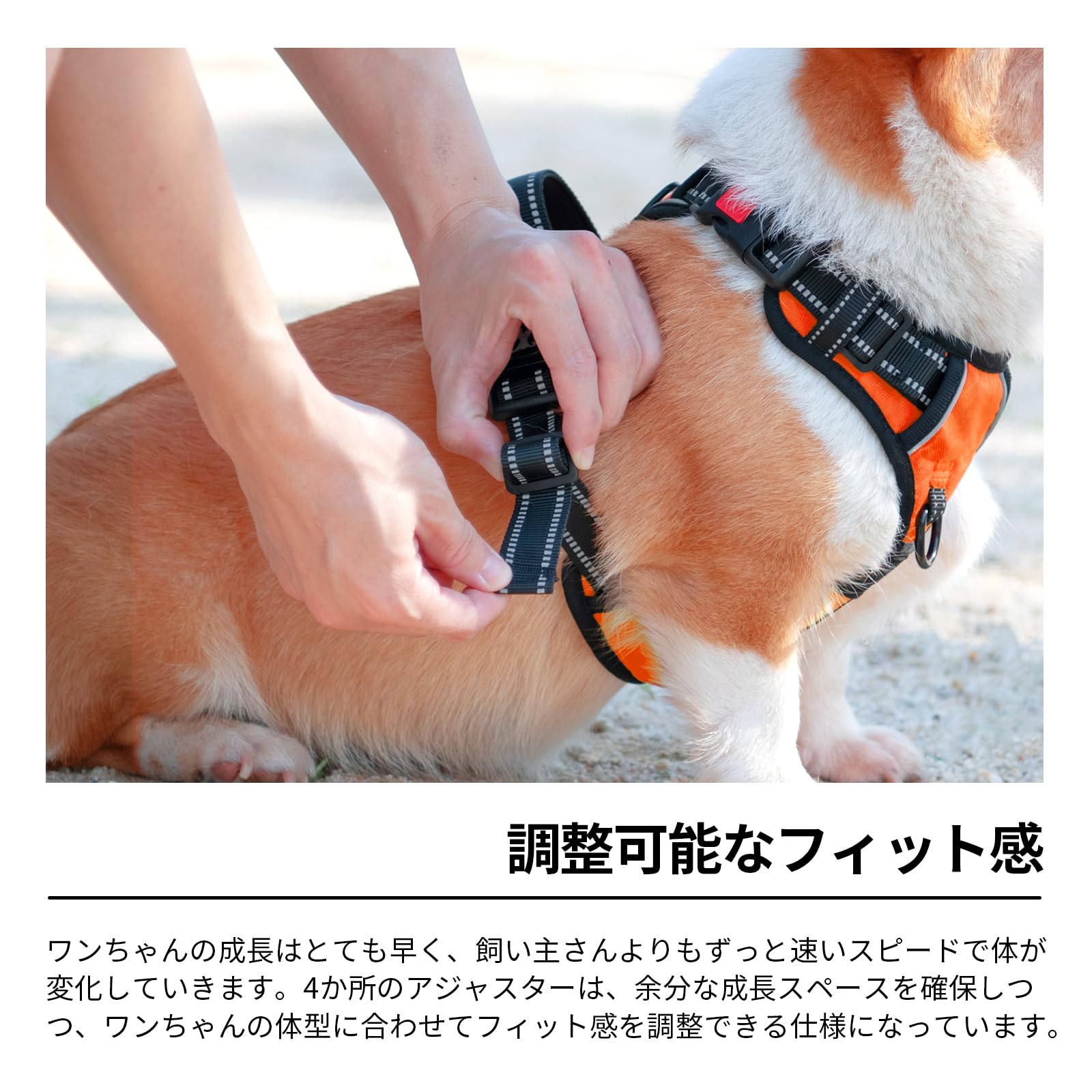 Amazon | PoyPet 犬ハーネス 首輪 胴輪 小型犬 ソフト 安全 簡単着脱