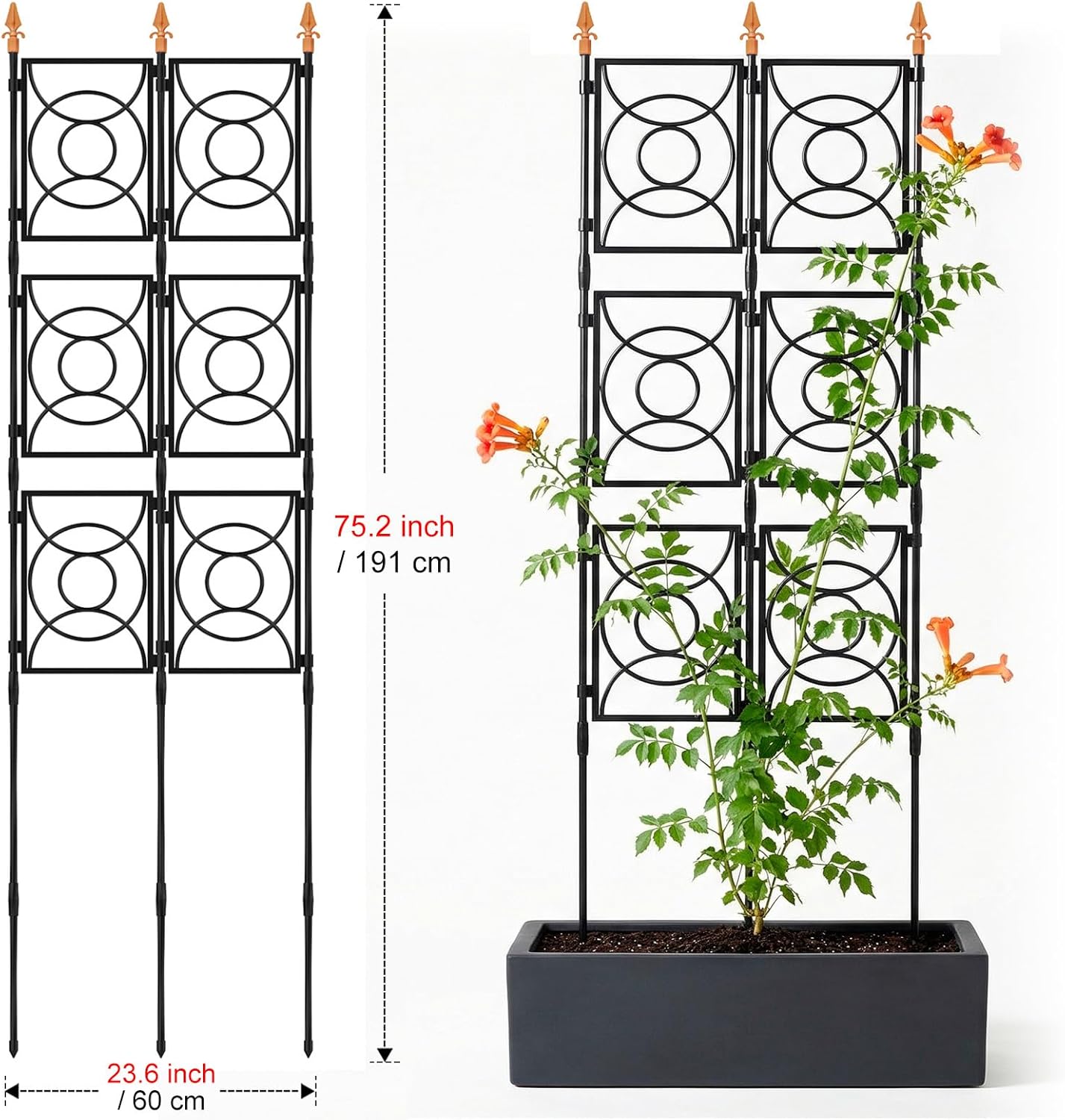 Trellis for Climbing Plants Outdoor, 24 Rifny Tall Garden Trellis Flower Rose Cucumber Trellis for Vines Pea Support, Wall Large Plant Trellis Fence with Plastic Coated Metal Poles, 2 x 6.2 FT