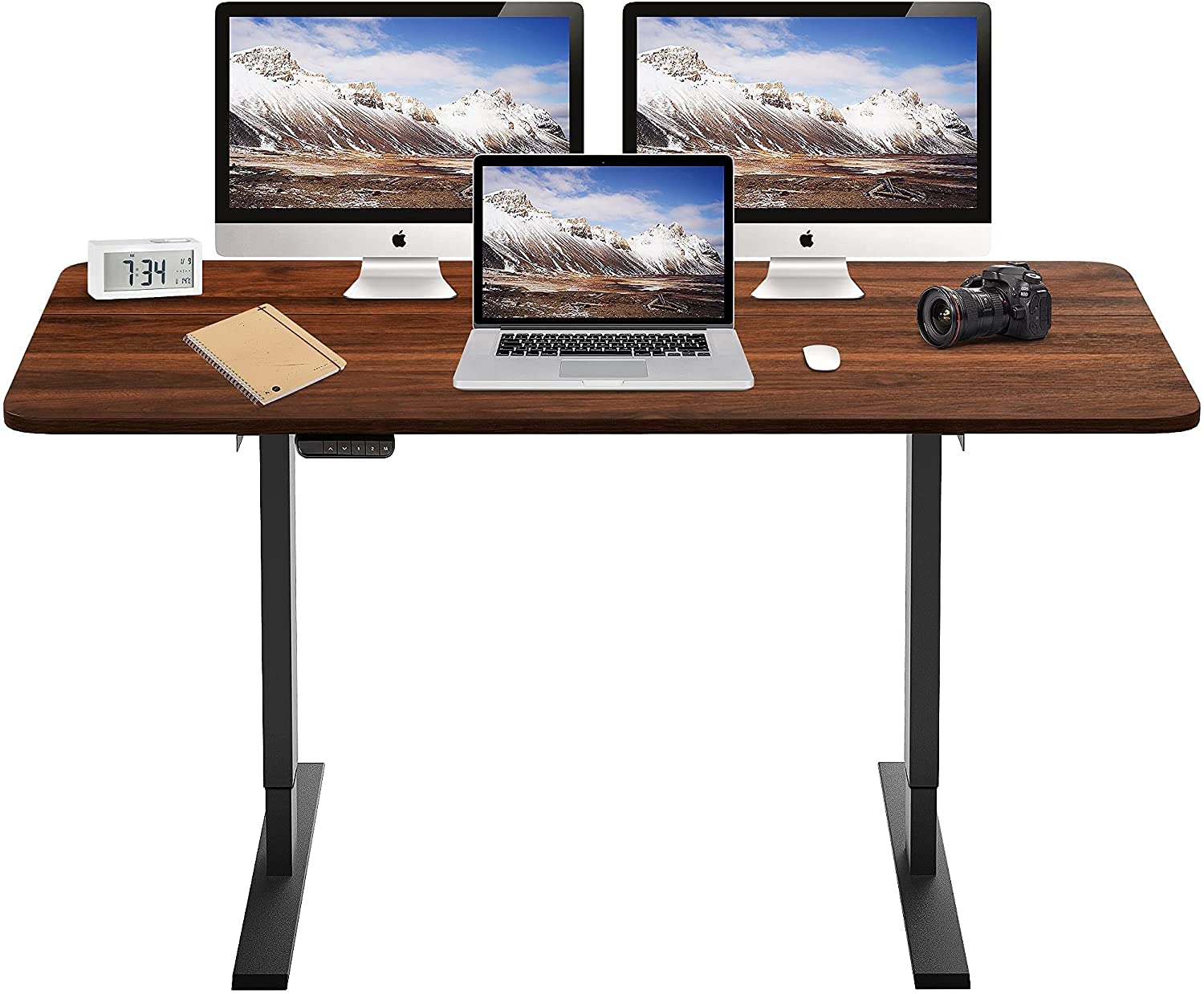 Buy HOUSEELF Electric Adjustable Standing Desk 55 x 28 Inches Sit