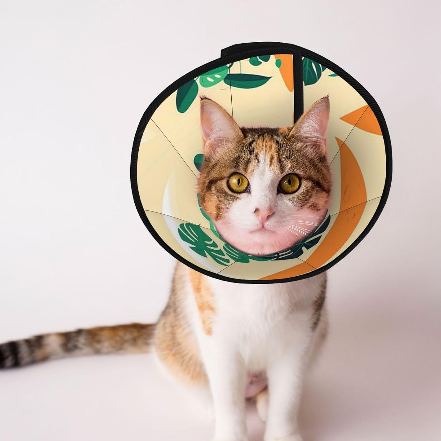 Custom Pet Cones - Unique Design Cat & Dog Cone, Collar for Post-Surgery Recovery, Adjustable Neck Lily Tranquil Glow​ Large