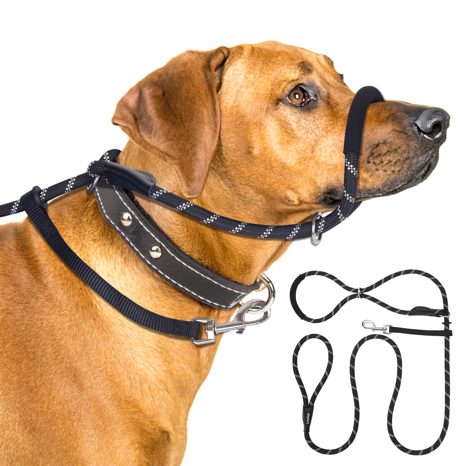 Loutep Figure of 8 Dog Lead 187cm Anti Pull Dog Lead Soft Padded Nose & Reflective Stitching No Pull for Medium, Large Dogs (Black)