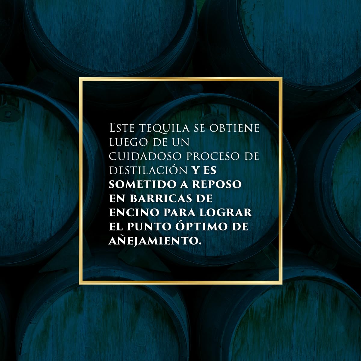 Arraigo Tequila Blanco - Botella de Tequila Mexicano - Elaborado 100% Agave Azul - 70 cl - 35% de Alcohol - Destilado Tres Veces hasta Obtener su Sabor y Aroma