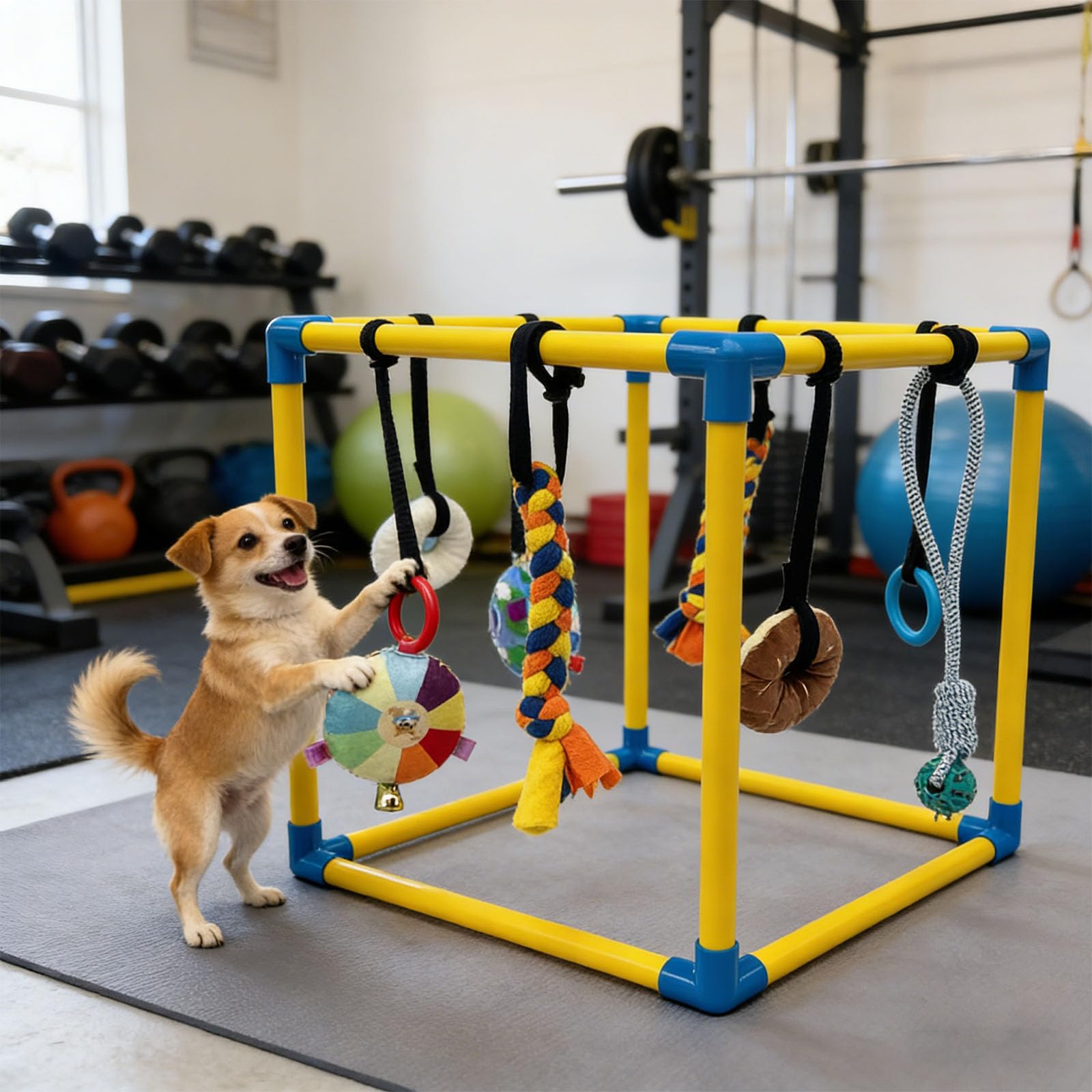 Set da palestra con tubo in PVC verde per animali domestici, con difficoltà divertenti per cani e adulti, attività stimolante, organizza la costruzione di attrezzature per l'addestramento degli