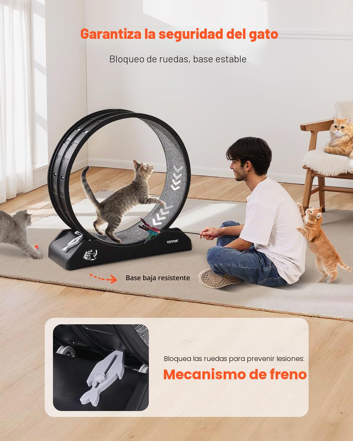 VEVOR Rueda de Ejercicio para Gatos de 800 x 340 x 850 mm, Rueda Grande para Correr con Freno Seguro y Pista Alfombrada, Cinta de Correr Silenciosa para Mascotas para Pérdida de Peso y Salud, Negro