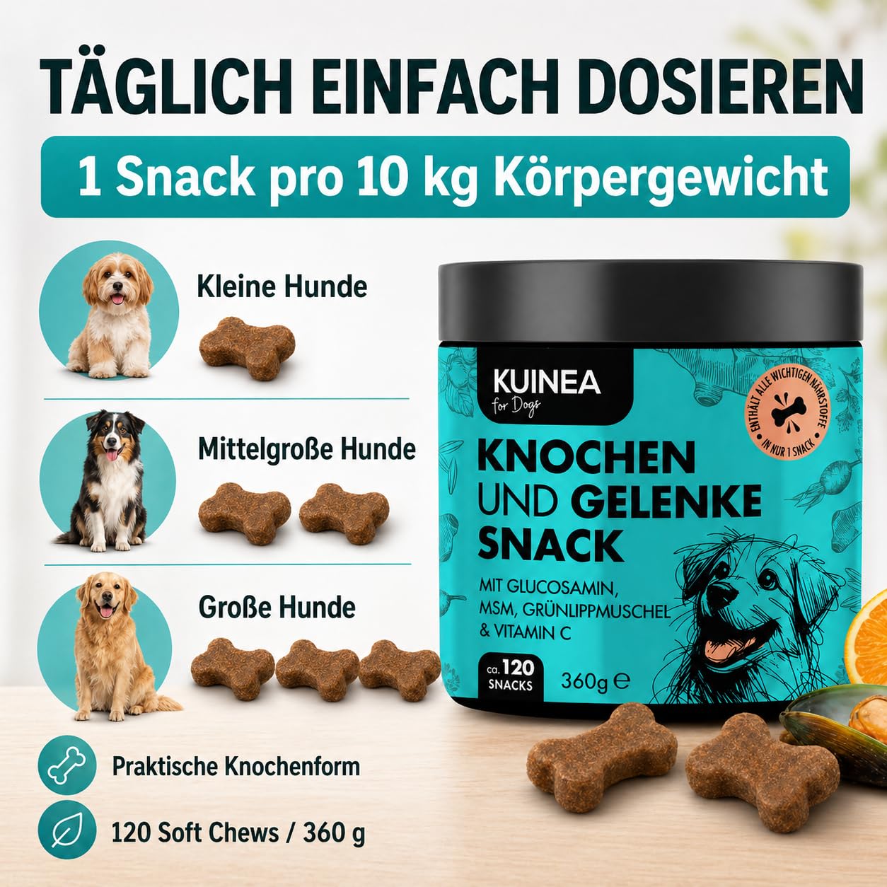 KUINEA® Hochkonzentrierte Gelenktabletten für Hunde als Leckerli – 120 Soft Chews (360g) – Grünlippmuschel Hund, Glucosamin, MSM & Vitamin C – Knochen & Gelenke – Getreide- & zuckerfrei, laborgeprüft