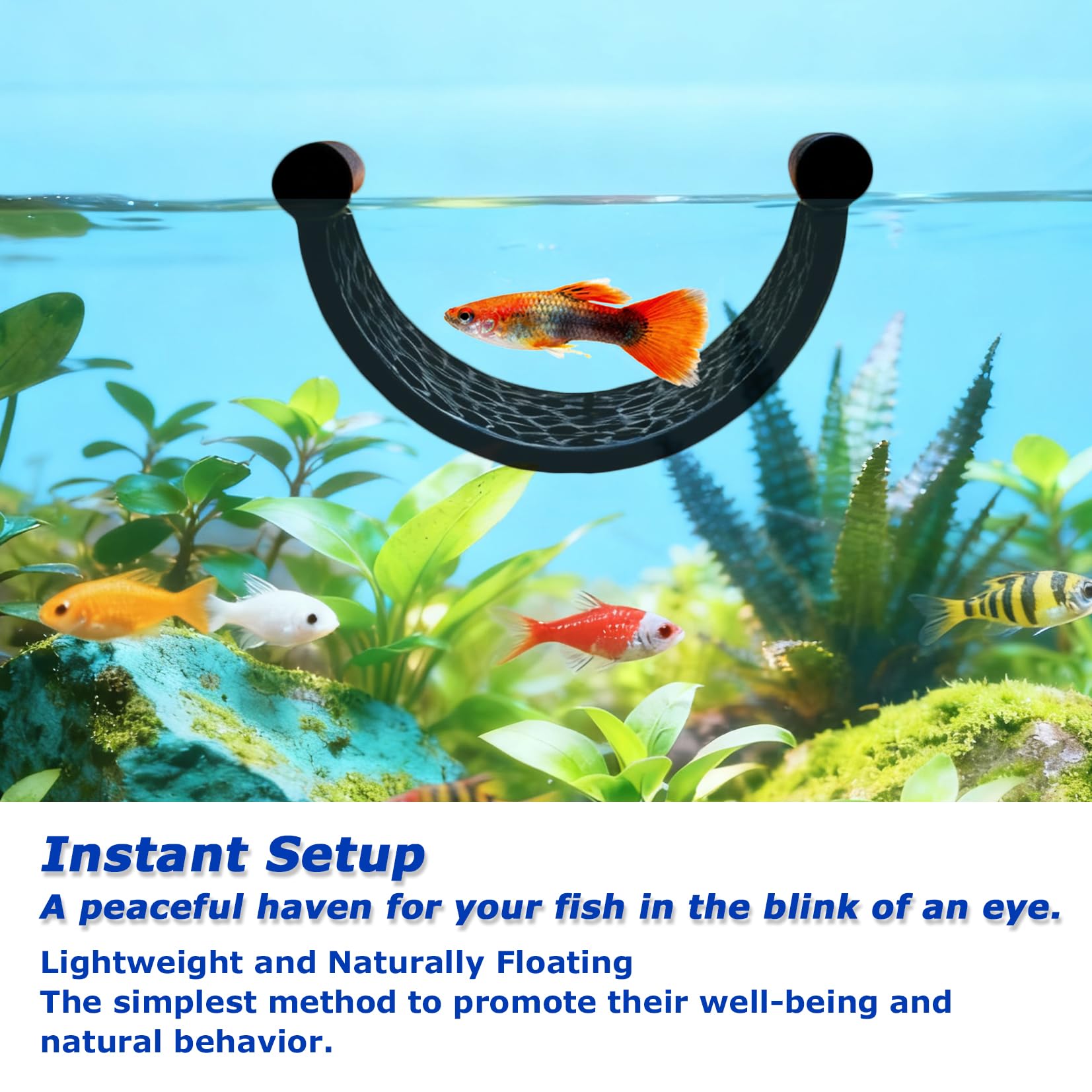 Hamac Flottant pour Poisson Combattant - Cachette Naturelle sans Ventouse, Design en Filet pour Repos des Petits Poissons