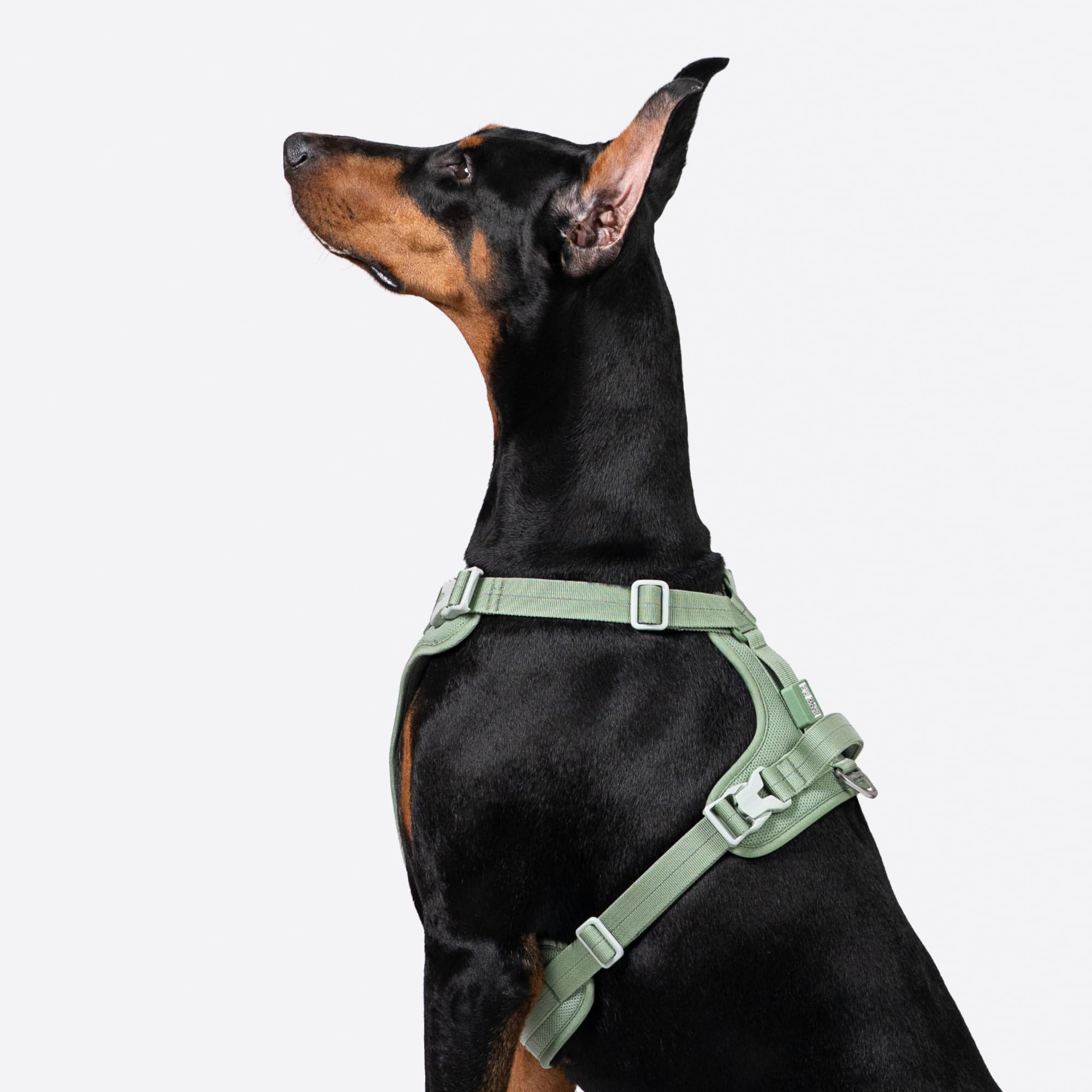 Allwetter Anti Zug Hundegeschirr reflektierendes Geschirr mit QR-Code Label, Gepolstert verstellbares Hundegeschirr für Kleine mittelgroße Große Hunde (Superreflektierend-Erdton, L)