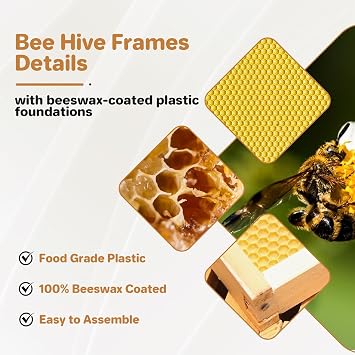 10-Frame Complete Bee Hives and Supplies Starter Kit Dipped in 100% Beeswax, Includes 1 Deep Hive Bee Box and 1 Bee Hive Super with Acrylic Window, Beehive Frames and Foundation for Beekeepers
