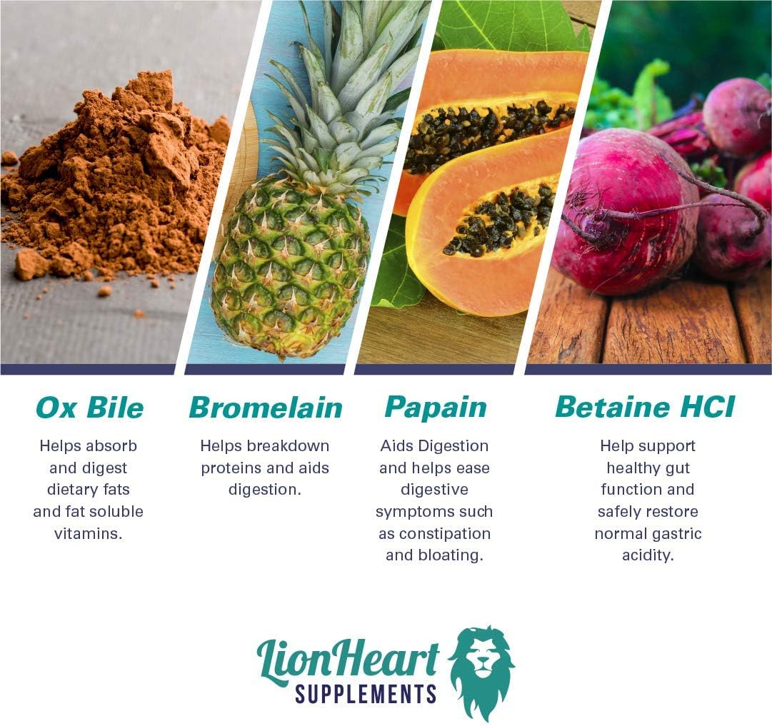 Buy DIGESTIVE ENZYMES SUPPLEMENT Includes Purified Ox Bile Salts